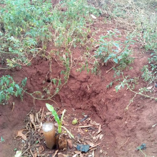 Kamiigo Disabled (80)