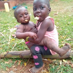 Kamiigo Disabled (88).jpeg