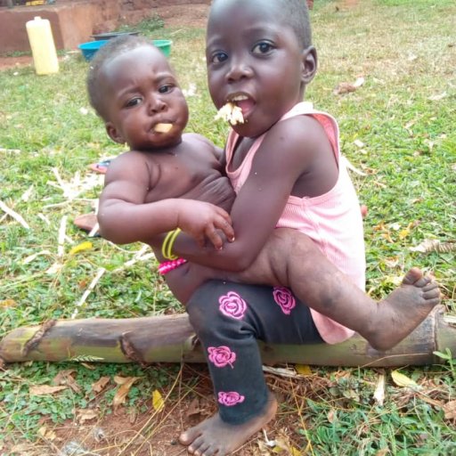 Kamiigo Disabled (88)