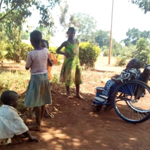 Kamiigo Disabled (90)