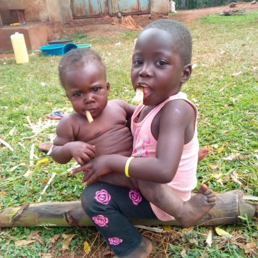 Kamiigo Disabled (92)