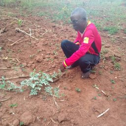 Kamiigo Disabled (94).jpeg