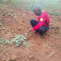 Kamiigo Disabled (95).jpeg