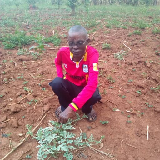 Kamiigo Disabled (96)