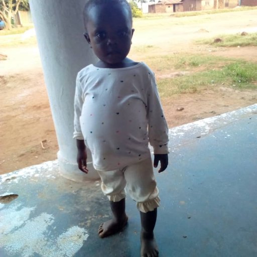 Kamiigo Disabled (97)