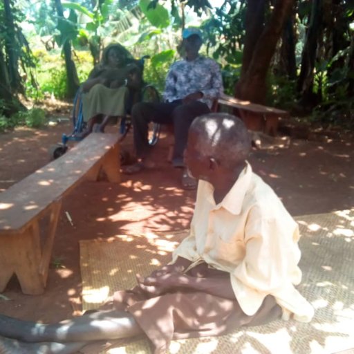 Kamiigo Disabled (98)