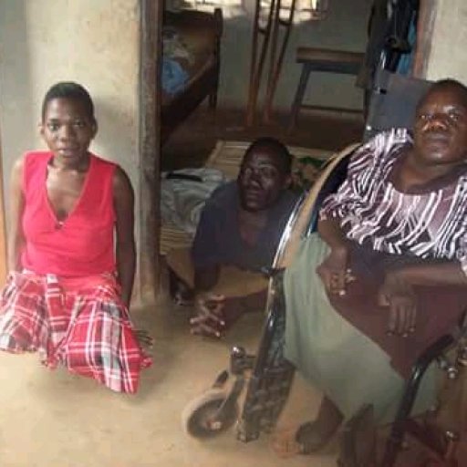 Kamiigo Disabled (104)