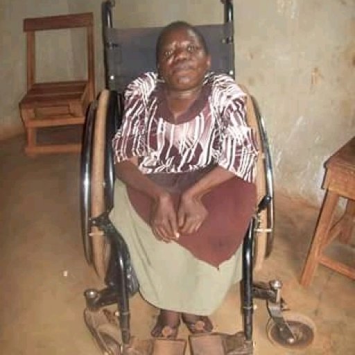 Kamiigo Disabled (110)