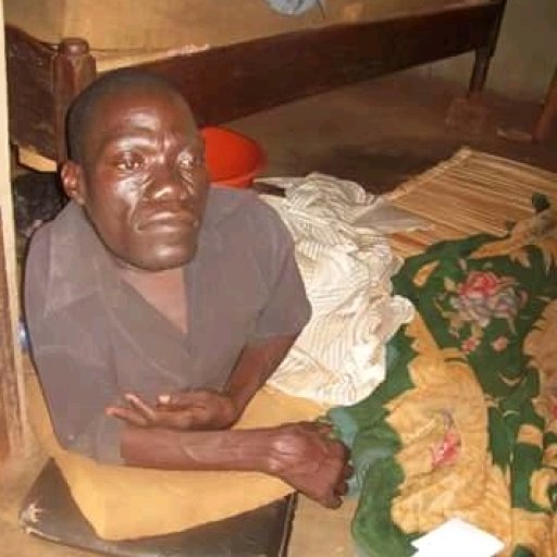 Kamiigo Disabled (111)