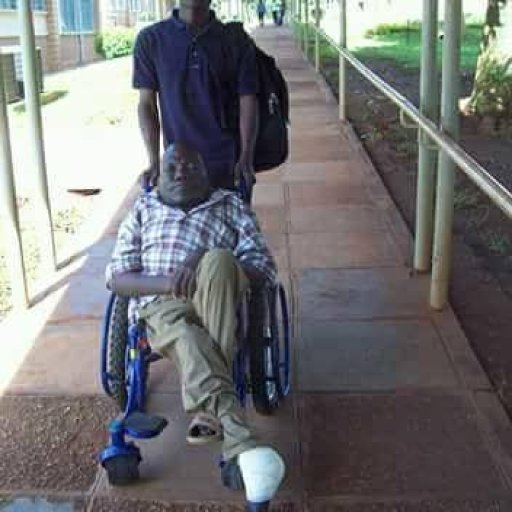 Kamiigo Disabled (115)