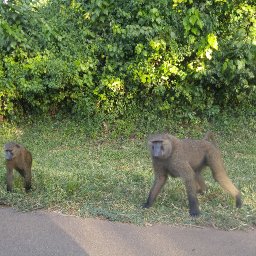 20170624_172633 - Copy.jpg