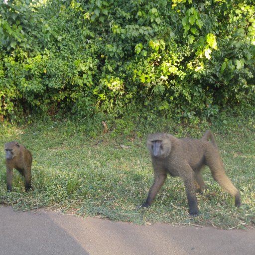 20170624_172633 - Copy