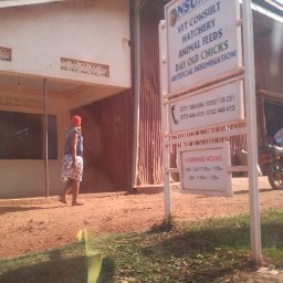 20170626_164141.jpg
