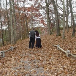 500920196tgKleh_ph - Copy (3).jpg