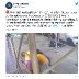 Disabled Person Attacked 3