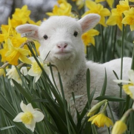 Earth is teaming with life