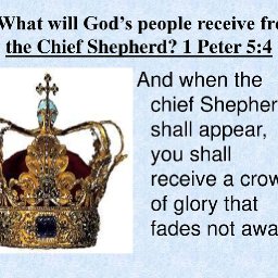 4.+What+will+God&rsquo;s+people+receive+from+the+Chief+Shepherd+1+Peter+5_4.jpg