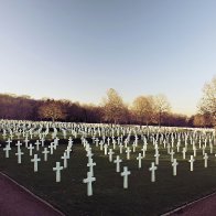 STING OF DEATH (Victory)