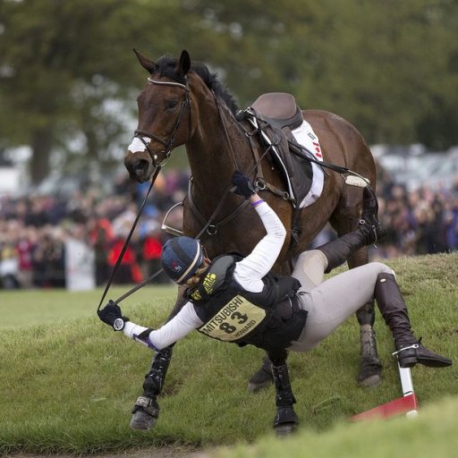 Trodden under foot the Son of God