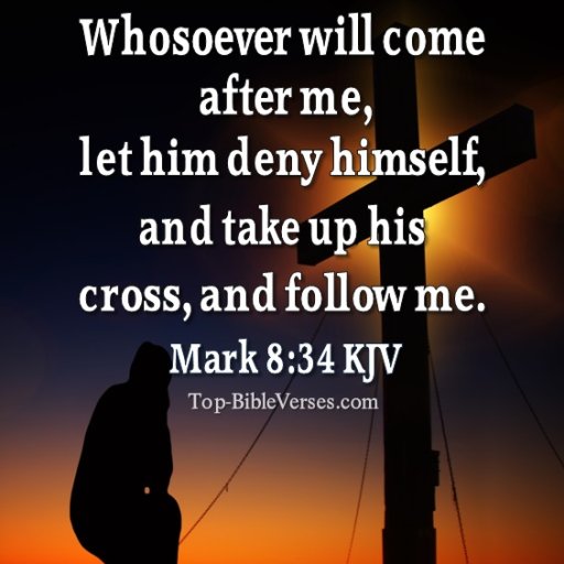 Ye should earnestly contend for the faith