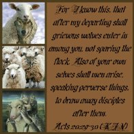 Wolves dens of thieves