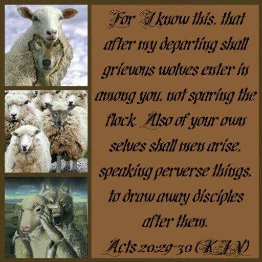 Wolves dens of thieves