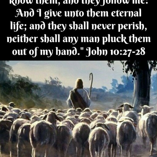 His sheep are known by name