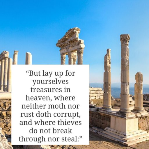 An abundance of life