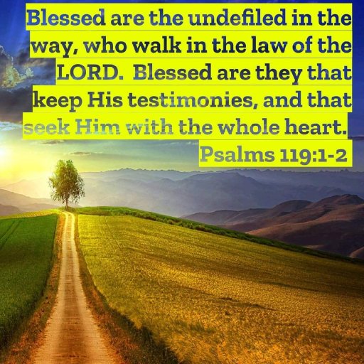 Finding Jesus (LIFE)