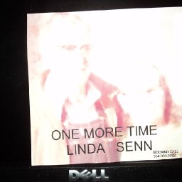 1321-lsonemoretime.JPG