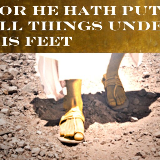 For he hath put all things under his feet