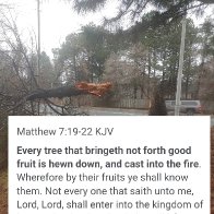 Hewn down cast into the fire.