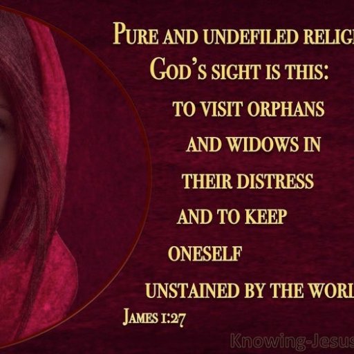 Pure religion undefiled before God