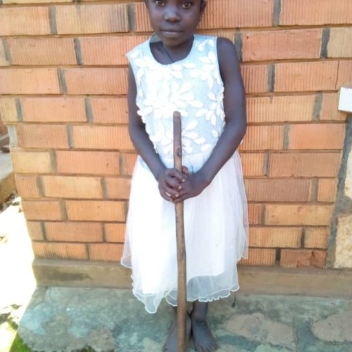 Kamiigo Disabled  (1)