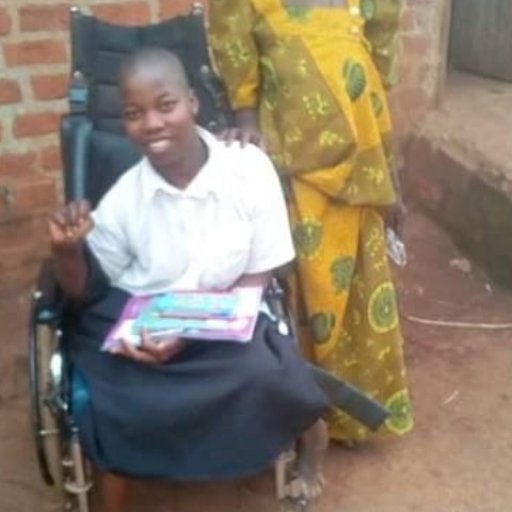 Kamiigo Disabled  (4)