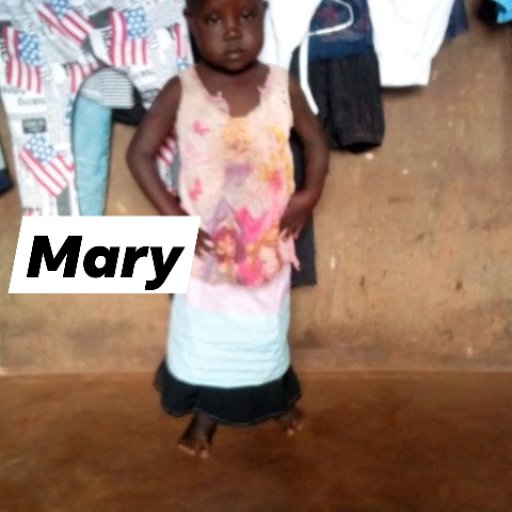 Kamiigo Disabled  (6)