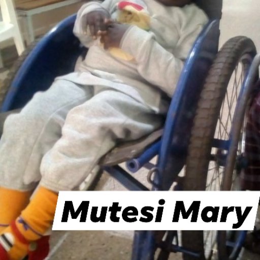 Kamiigo Disabled  (7)