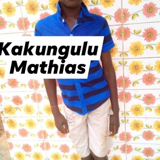 Kamiigo Disabled  (9)
