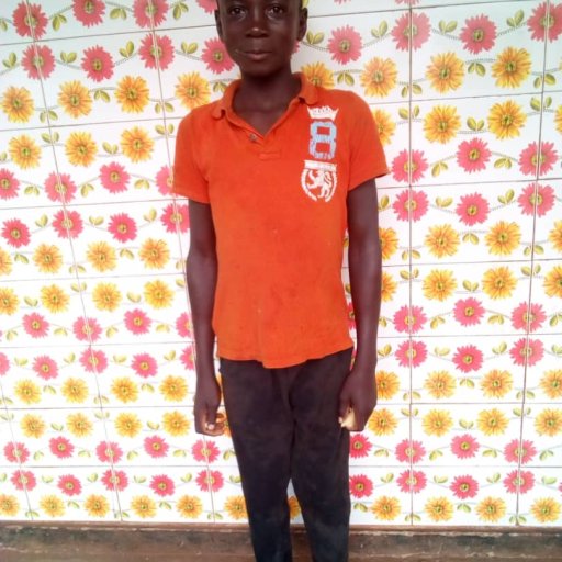 Kamiigo Disabled  (10)