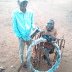 Kamiigo Disabled  (11)