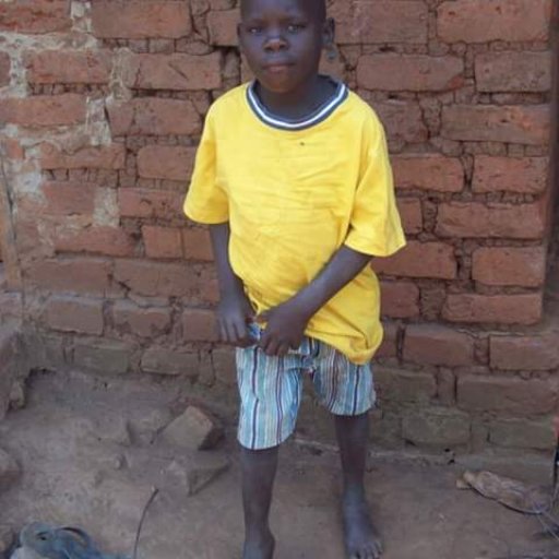 Kamiigo Disabled  (12)