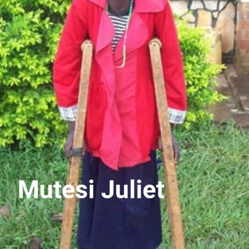 Kamiigo Disabled  (17)