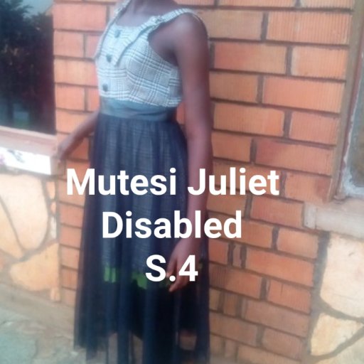 Kamiigo Disabled  (18)