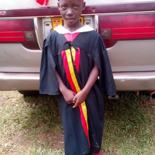 Kamiigo Disabled  (22)