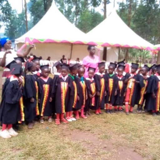 Kamiigo Disabled  (23)