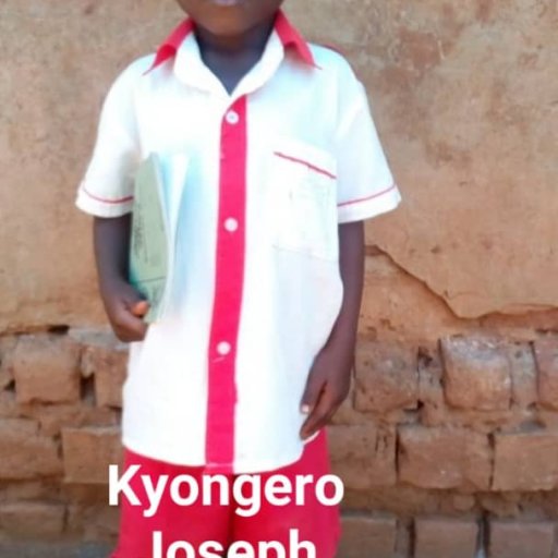 Kamiigo Disabled  (26)