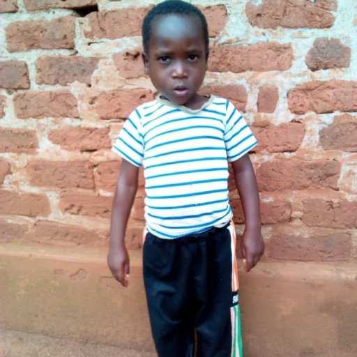 Kamiigo Disabled  (27)