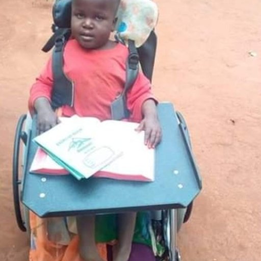 Kamiigo Disabled  (28)