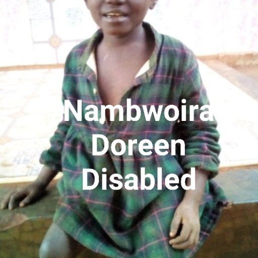 Kamiigo Disabled  (31)