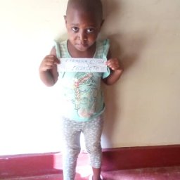 Kamiigo Disabled  (36).jpeg